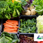 American Fitness Index Anthem Foundation fresh food availability