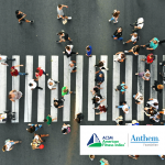 pedestrians in cross walk