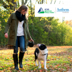 woman walking black and white dog in fall leaves